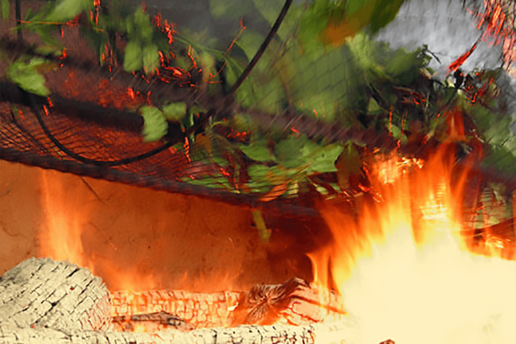 Séchage de la yerba maté